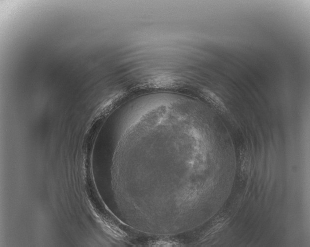 X0000060570542200511101632