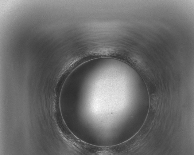 X0000060570544200511101632