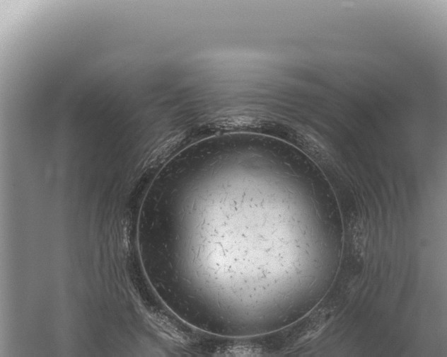 X0000060570546200511101632