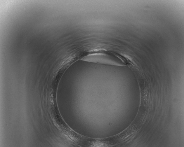 X0000060570547200511101632