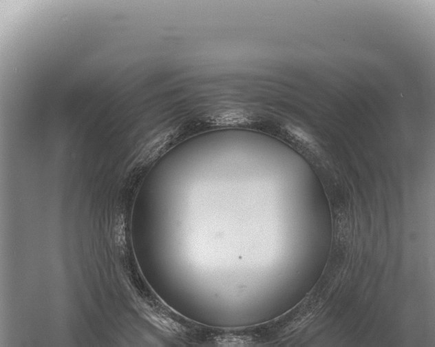 X0000060570549200511101632