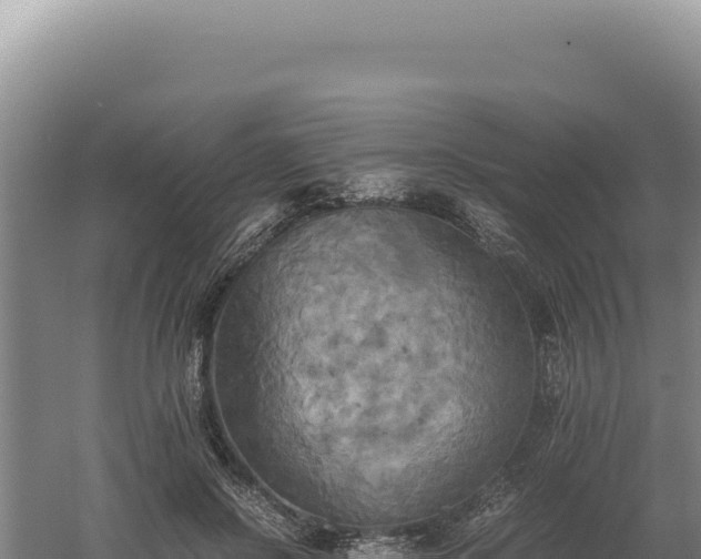 X0000060570550200511101632