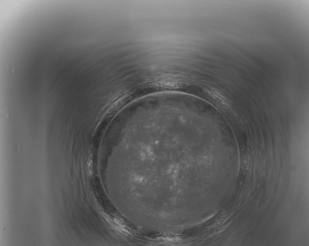 X0000060570552200511101632