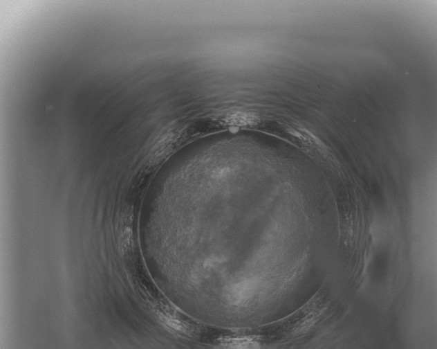 X0000060570553200511101632