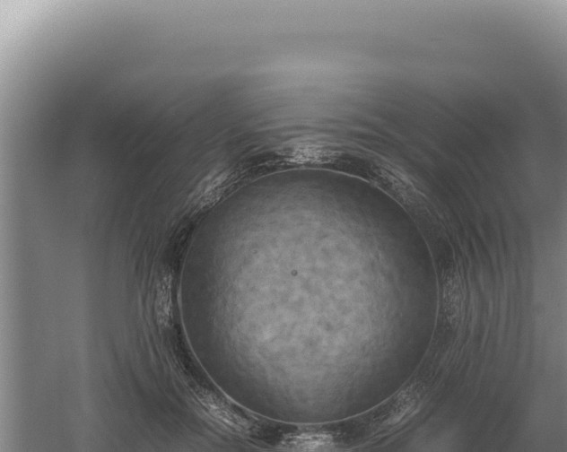 X0000060570554200511101632