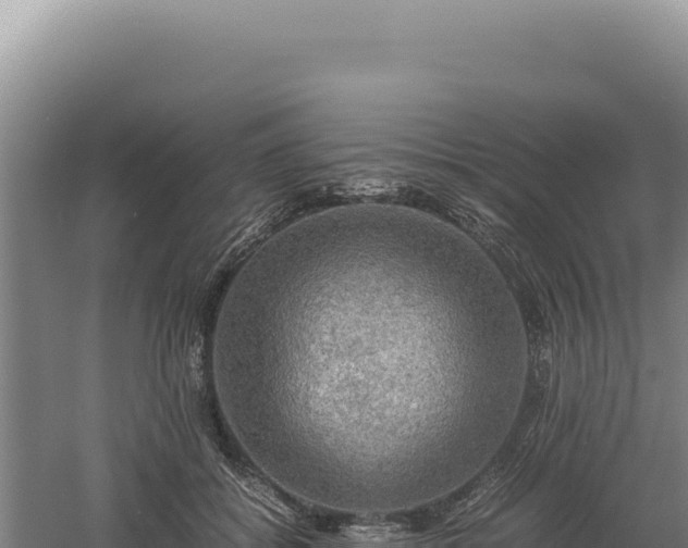 X0000060570556200511101632