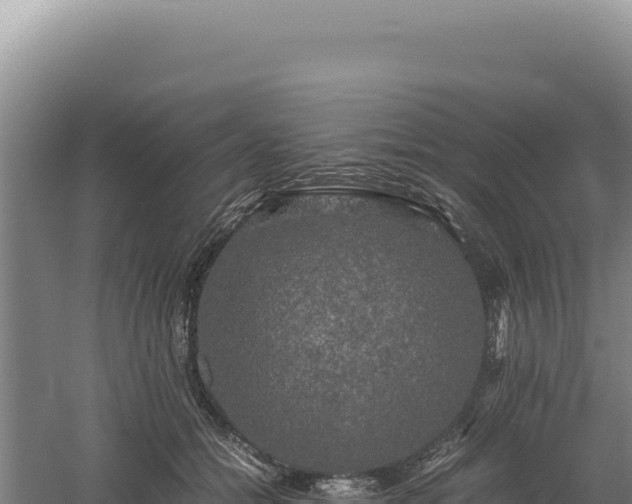 X0000060570558200511101632