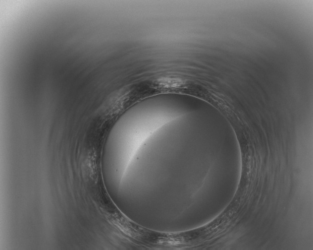 X0000060570559200511101632