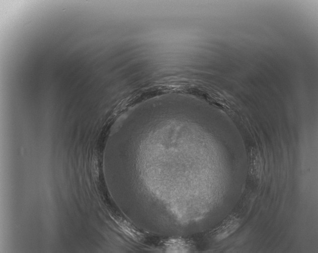 X0000060570562200511101632