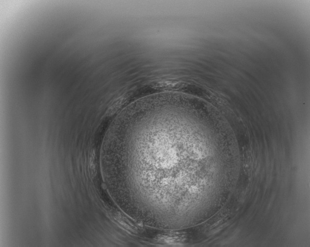 X0000060570563200511101632