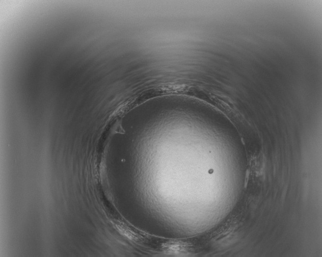 X0000060570564200511101632