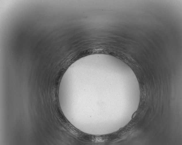 X0000060570565200511101633