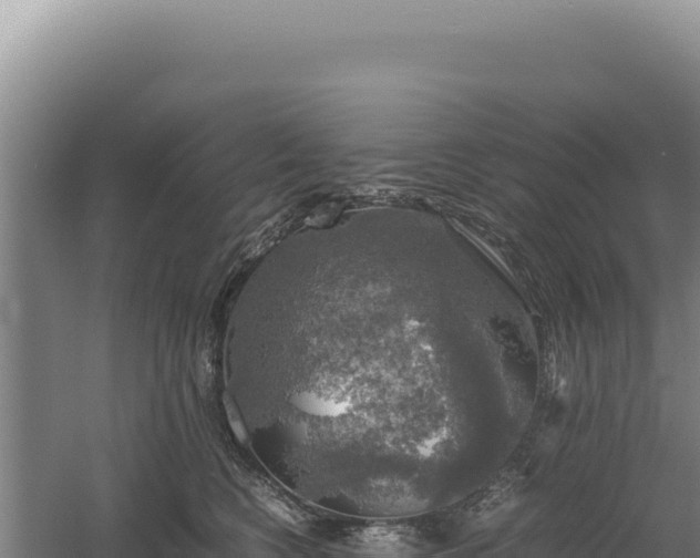 X0000060570566200511101633