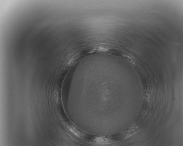 X0000060570568200511101633