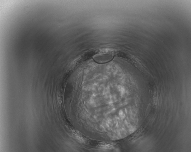 X0000060570569200511101633