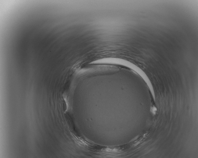 X0000060570570200511101633