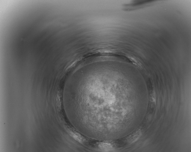 X0000060570572200511101633