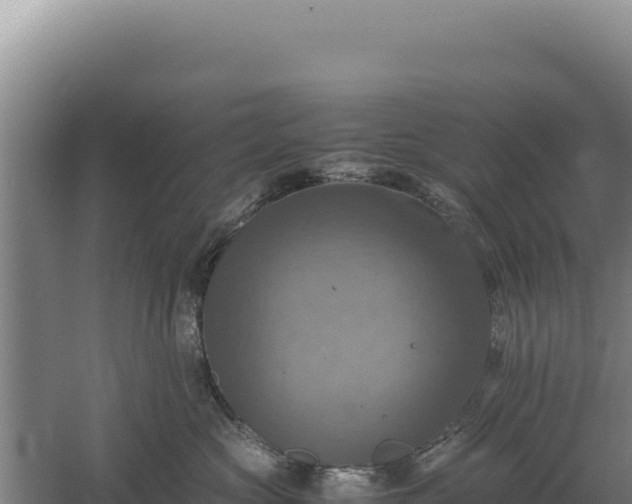 X0000060570573200511101633