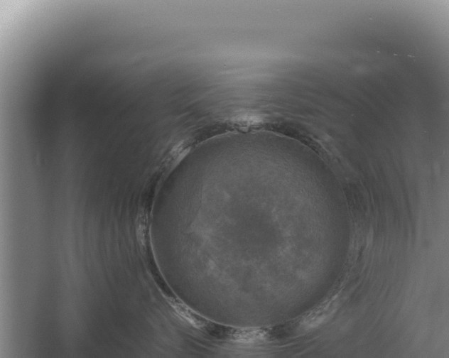 X0000060570576200511101633