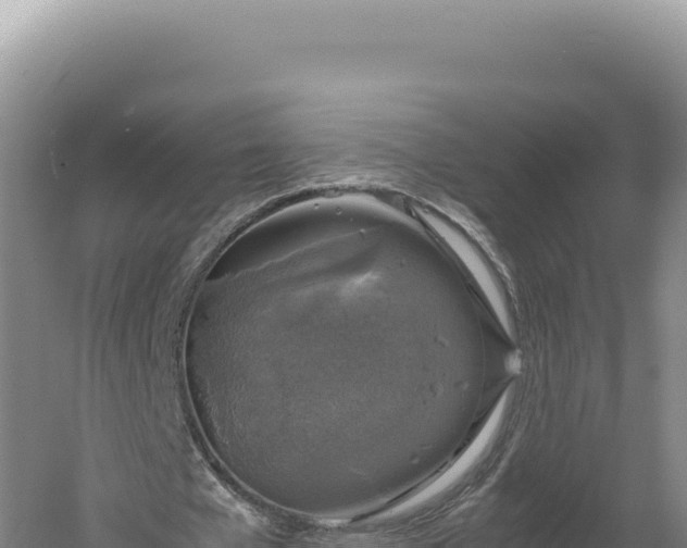 X0000060570577200511101632