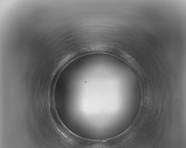 X0000060570578200511101632