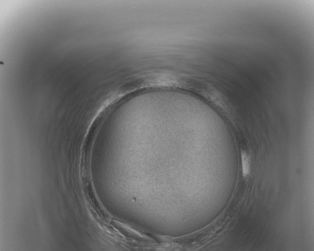 X0000060570579200511101632