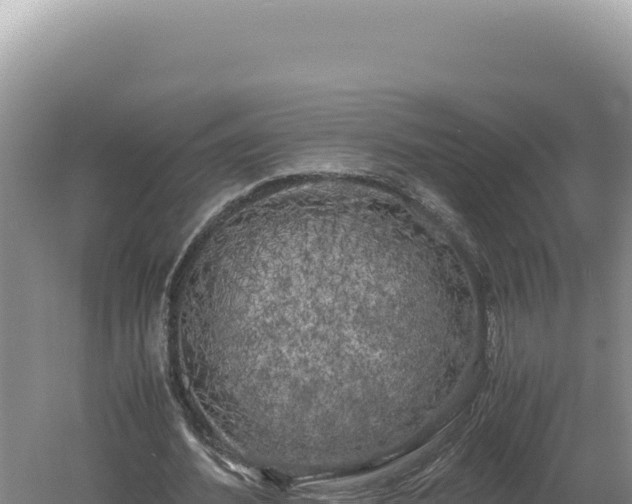 X0000060570580200511101632