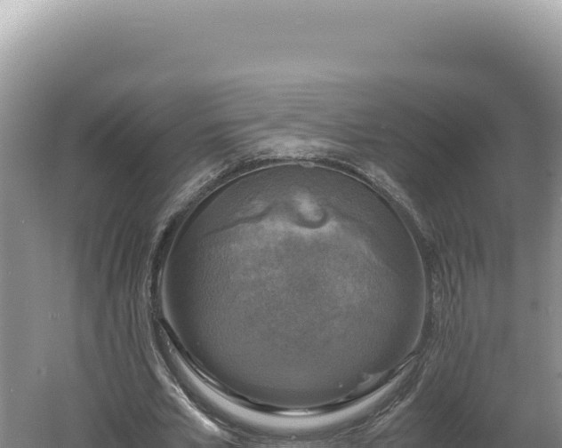 X0000060570581200511101632