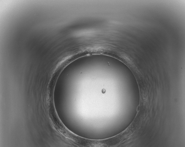 X0000060570583200511101632