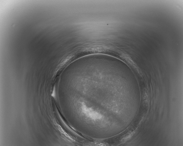 X0000060570585200511101632