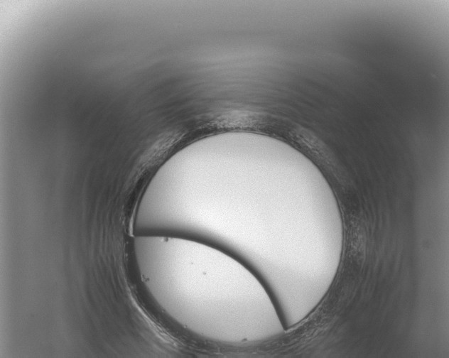 X0000060570586200511101632