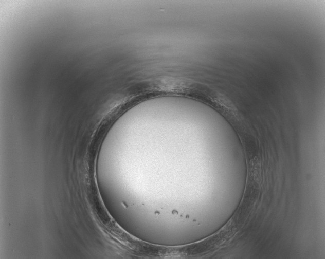 X0000060570587200511101632