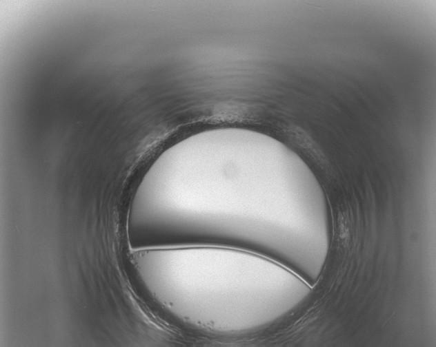 X0000060570588200511101632