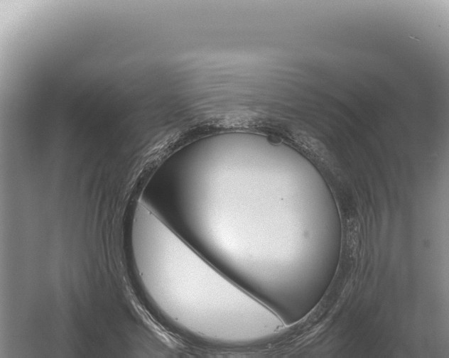 X0000060570589200511101632