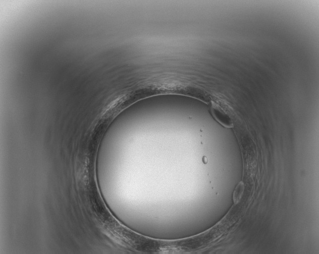 X0000060570591200511101632