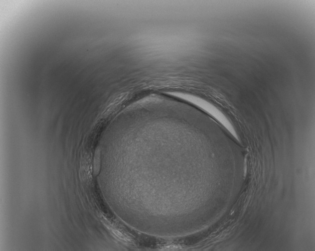 X0000060570593200511101632