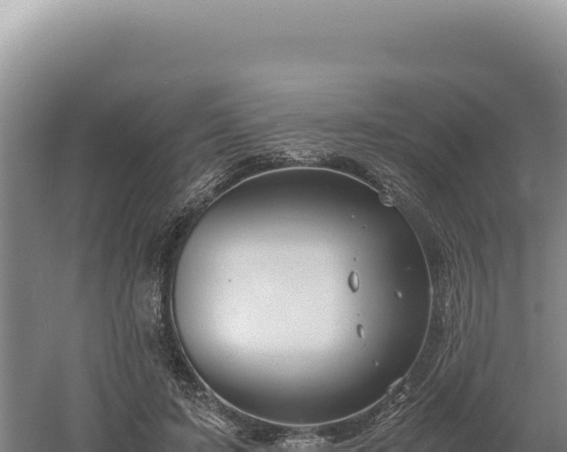 X0000060570595200511101632