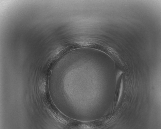 X0000060570596200511101632