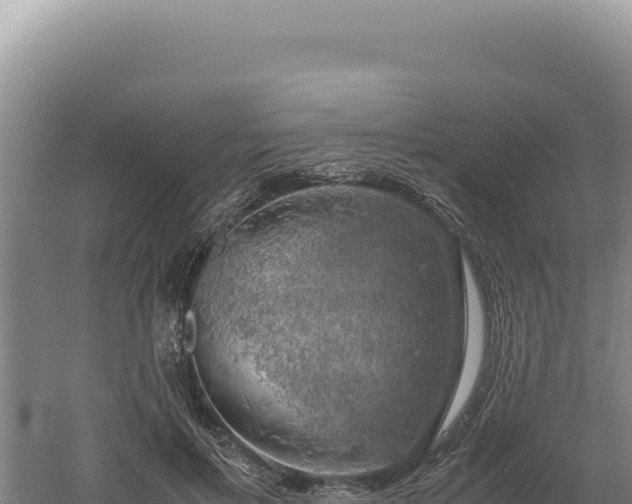 X0000060570597200511101632