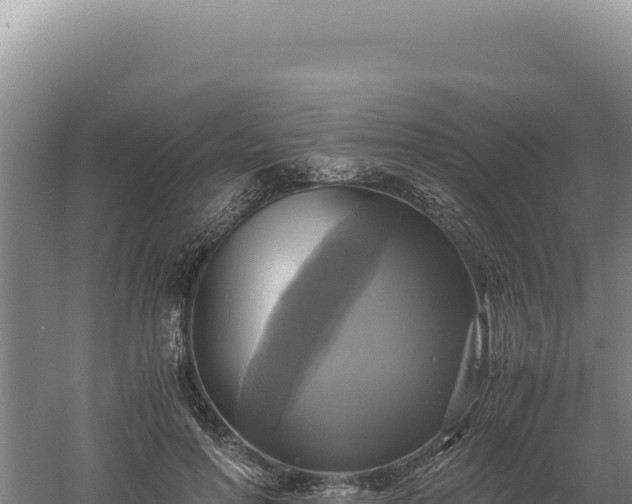 X0000060570598200511101632