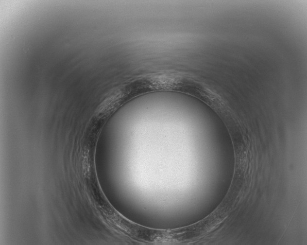 X0000060570599200511101632