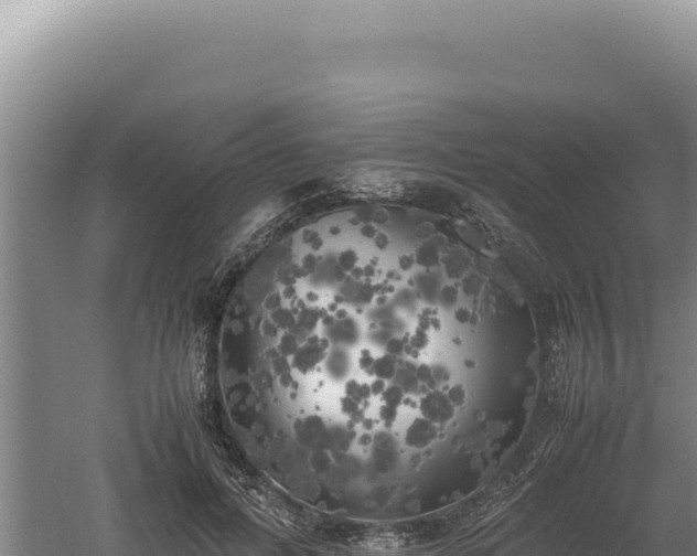 X0000060570600200511101631