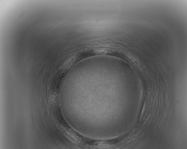 X0000060570601200511101631