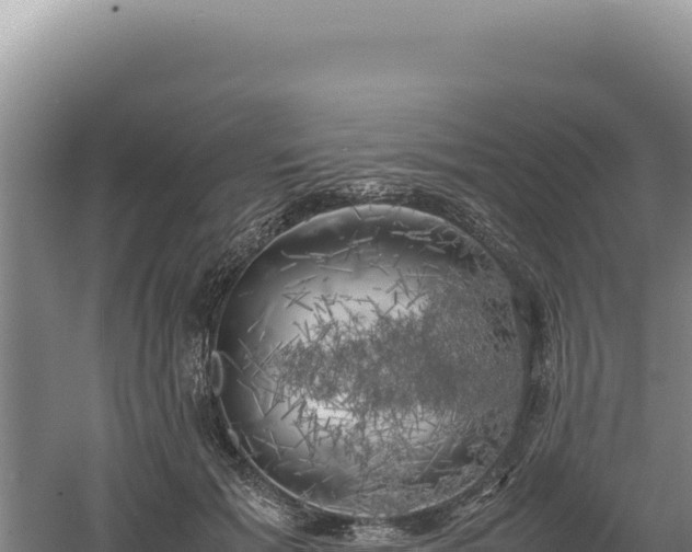 X0000060570605200511101631