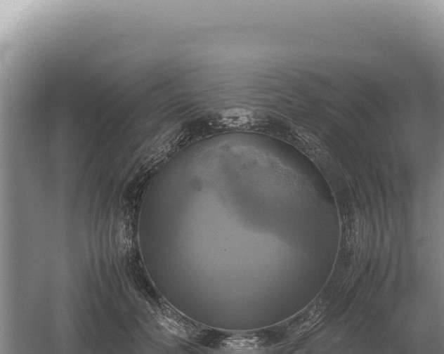 X0000060570606200511101631