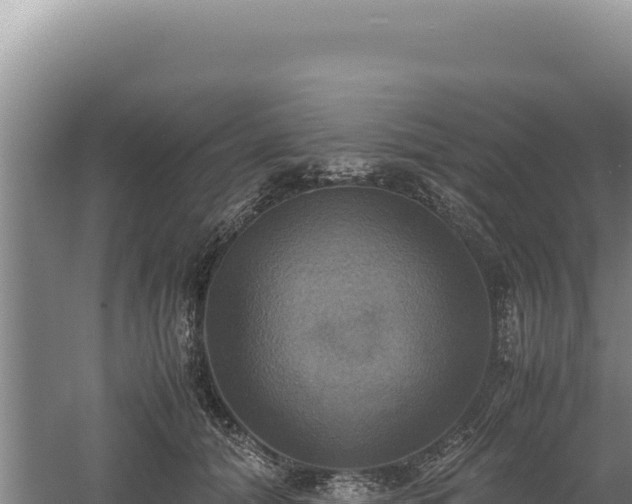 X0000060570608200511101631