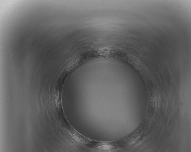 X0000060570610200511101631