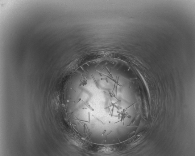 X0000060570611200511101631