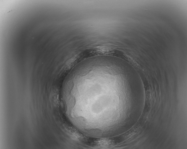 X0000060570615200511101631