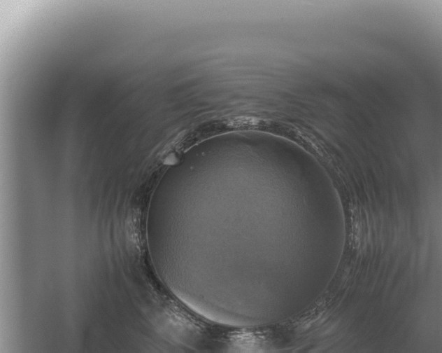 X0000060570616200511101631